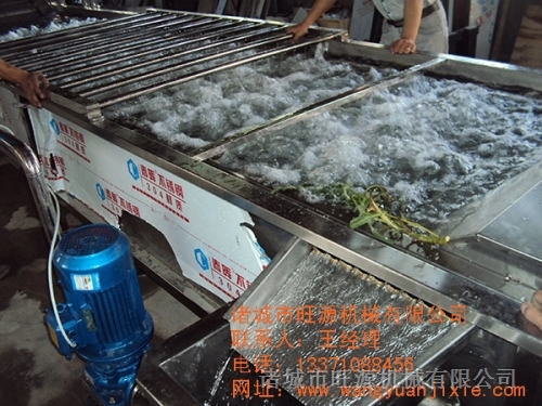 蘋果氣泡清洗機