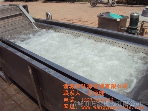 翻浪式氣泡清洗機(jī)