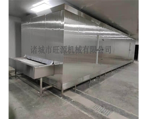 帶魚低溫鏈條式速凍機