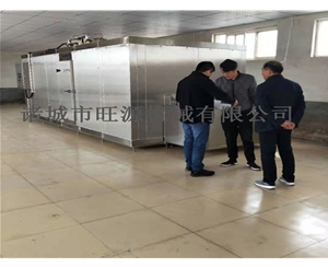 廠家供貨土豆塊速凍機